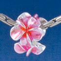 B1455 tlf - Hot Pink & Orange Plumerias - Silver Plated Large Hole Beads (6 per package)