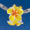 B1456 tlf - Hot Yellow & Orange Plumerias - Silver Plated Large Hole Beads (6 per package)