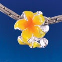 B1464 tlf - Hot Yellow and Orange Plumeria Flowers - Silver  Plated Large Hole Bead (6 per package)