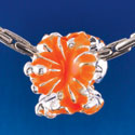 B1468 tlf - Hot Orange Hibiscus Flowers - Silver  Plated Large Hole Bead (6 per package)