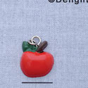 7171* - Apple - Resin Charm (Left & Right) (12 per package)