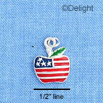 C1192 - Apple USA Silver Charm Mini (6 charms per package)