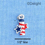 C1194 - Firecracker USA Silver Charm Mini (6 charms per package)