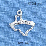 C1741 - Texas Outline 