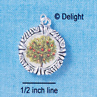 C2392 - Frame Charm - Circle (6 charms per package)