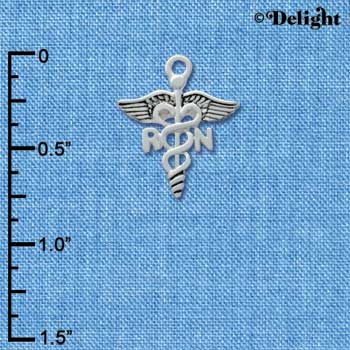 C2535 - Registered Nurse - RN - Silver Charm (6 charms per package)