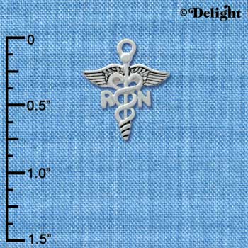 C2535 - Registered Nurse - RN - Silver Charm (6 charms per package)