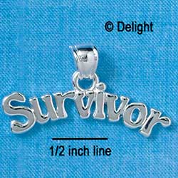 C2648 - Survivor - Pendant with bail - Silver Charm