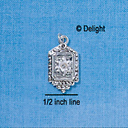 C2788 - Silver Torah with 1 Swarovski Stone - Silver Charm