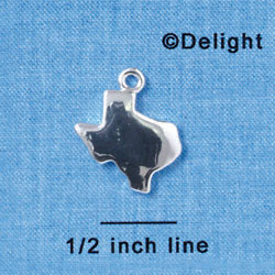 C2981 - Plain Silver Texas - Silver Charm