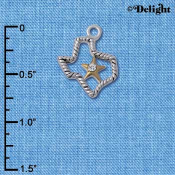 C3107 - Silver Texas with Gold Star and Clear Swarovski Crystal - Silver Charm