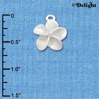 C3259 - Pearl White Plumeria Flower - Silver Charm (6 charms per package)