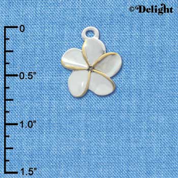 C3264 - Silver Plumeria Flower Gold Edging - Silver Charm (6 charms per package)