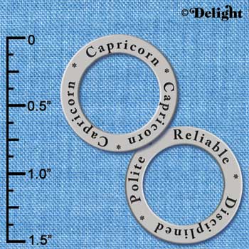 C3694 tlf - Capricorn (Polite, Wise, Reliable, Disciplined) - Silver Charm (6 per package)