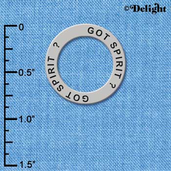 C3984 tlf - Got Spirit? - Affirmation Message Ring (6 per package)