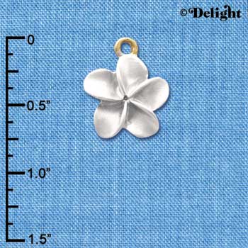 C4112 tlf - Pearl White Plumeria Flower - Gold Plated Charm (6 per package)