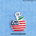 C1192 - Apple USA Silver Charm Mini (6 charms per package)