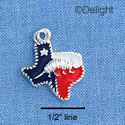 C1460 - Texas Armadillo Silver Charm (6 charms per package)