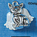 C2217 - Cat Angel Charm (6 charms per package)