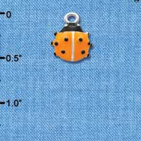 C2463 - Lady Bug - Hot Orange - Silver Charm (6 charms per package)