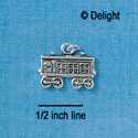 C2606+ - Train - Car - Silver Charm (3-D) ( 6 charms per package )