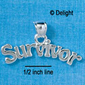 C2648 - Survivor - Pendant with bail - Silver Charm