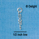 C2705 - Champs - Silver - Silver Charm