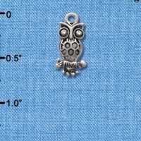 C2895 - Antiqued Silver Owl with Clear Swarovski Crystal Eyes - Silver Charm (6 charms per package)