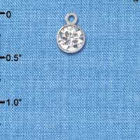 CZ Charms
