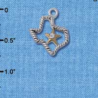 C3107 - Silver Texas with Gold Star and Clear Swarovski Crystal - Silver Charm