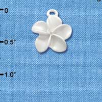 C3259 - Pearl White Plumeria Flower - Silver Charm (6 charms per package)