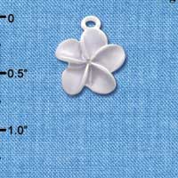 C3262 - Pearl Purple Plumeria Flower - Silver Charm (6 charms per package)