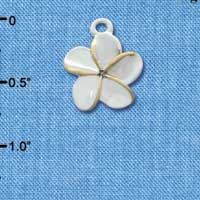 C3264 - Silver Plumeria Flower Gold Edging - Silver Charm (6 charms per package)