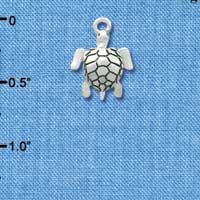 C3517 tlf - Sea Turtle - Silver Charm