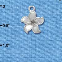 C3575 tlf - Silver Plumeria Flower - Silver Charm