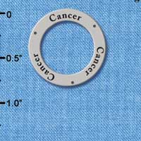 C3693 tlf - Cancer (Imaginative, Intuitive, Protective) - Silver Charm (6 per package)