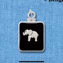 C3819 tlf - Elephant on Black Pendant with Silver Frame - Silver Charm (6 per package)