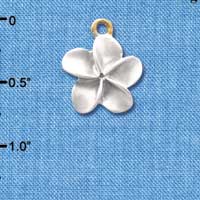C4112 tlf - Pearl White Plumeria Flower - Gold Plated Charm (6 per package)
