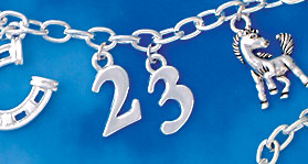 Silver Number Charms