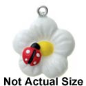 N1161+ tlf - White Daisy Flower with Red Ladybug - 3-D Hand Painted Resin Charm (6 per package)