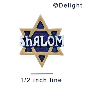 4323 tlf - Shalom - Resin Decoration (12 per package)