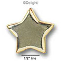 0485 - Star - Gold Shiny Medium - Resin Decoration (12 per package)