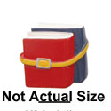 0669 - Books - Belt Medium - Resin Decoration (12 per package)