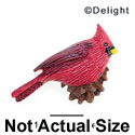 3235 ctlf - Bird Cardinal Pine Cone Medium - Resin Decoration (12 per package)